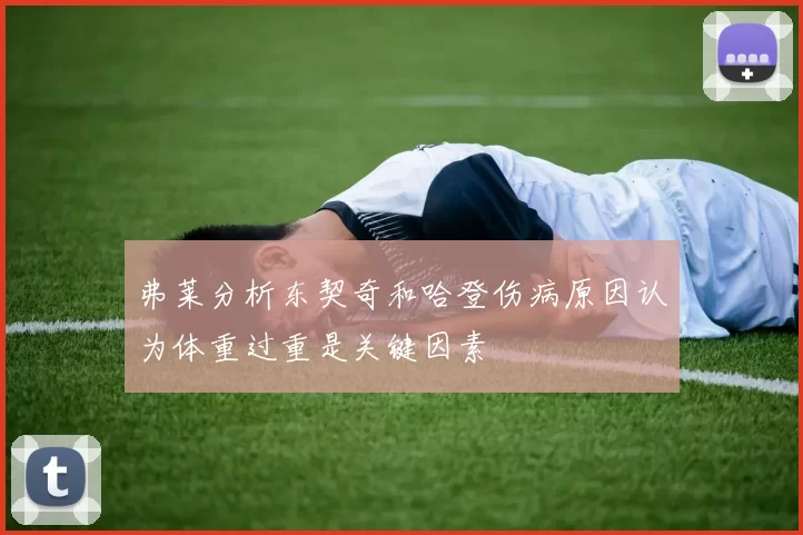 弗莱分析东契奇和哈登伤病原因认为体重过重是关键因素