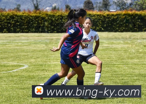 开云体育APP 高清赛事图